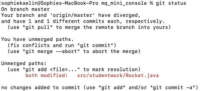 Merge Conflict4